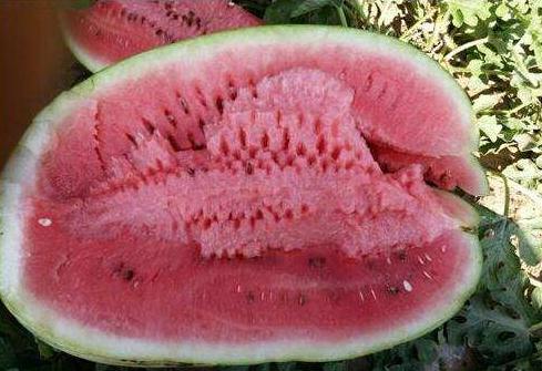 十種刮油食物越吃越瘦 你也一定喜歡吃